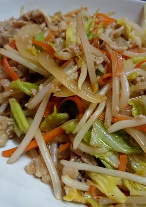 おいしい◎肉野菜炒め-レシピのメイン写真