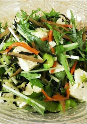 ひじきと豆腐のきんぴらサラダ＊シソ風味-レシピのメイン写真