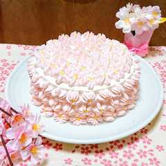 รูปของ ✿桜満開✿桜と苺のショートケーキ