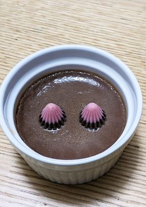 濃厚ショコラプリン-レシピのメイン写真