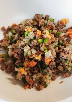 犬用＊豚挽肉のﾁｬｰﾊﾝ-レシピのメイン写真