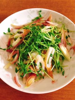 みょうが・豆苗・ちくわの和風サラダ-レシピのメイン写真