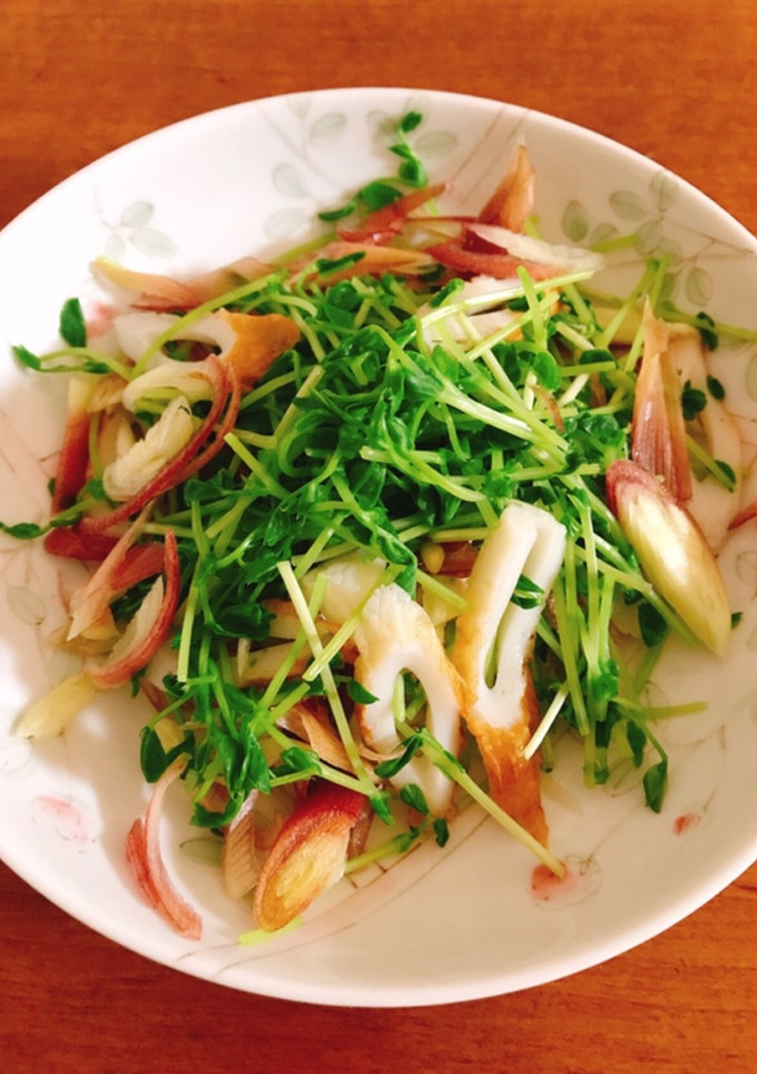 みょうが・豆苗・ちくわの和風サラダ-レシピのメイン写真