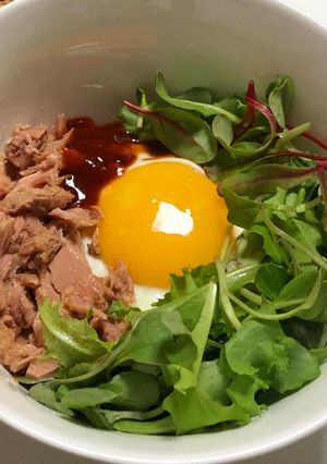さっぱり美味しいツナのビビンバ-レシピのメイン写真