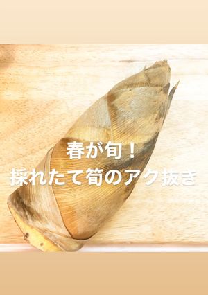 採れたてたけのこのアク抜き方法-レシピのメイン写真