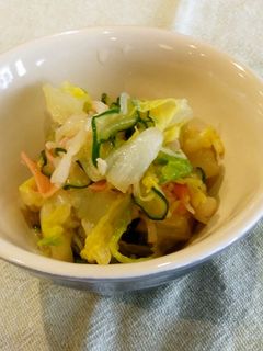 保育園給食★白菜ときゅうりの酢の物-レシピのメイン写真