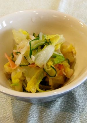 保育園給食★白菜ときゅうりの酢の物-レシピのメイン写真