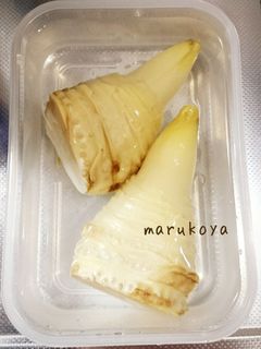 筍の下処理方法-レシピのメイン写真