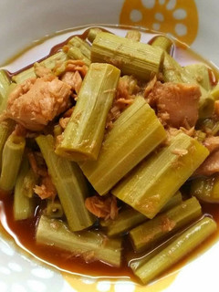 イタドリとツナ缶の炒め煮-レシピのメイン写真