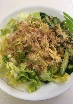 キャベツのぬか漬け-レシピのメイン写真