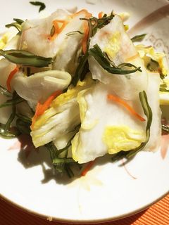 白菜の浅漬け-レシピのメイン写真