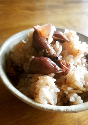 ホタルイカと生姜の炊き込みご飯-レシピのメイン写真