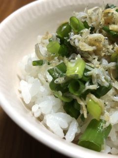 簡単!釜揚げしらす丼-レシピのメイン写真