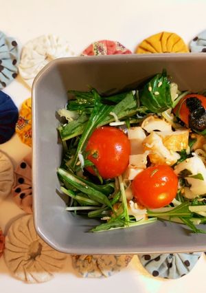 水菜としらすの簡単めんつゆサラダ-レシピのメイン写真