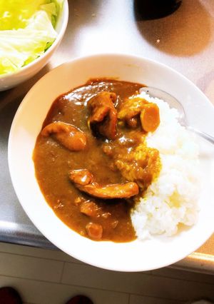 生姜と梅干しのさっぱりカレー-レシピのメイン写真