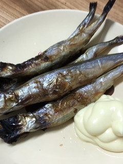 焼きししゃも-レシピのメイン写真