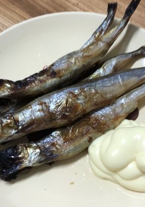 焼きししゃも-レシピのメイン写真