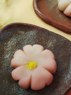 レンジで…練りきり-レシピのメイン写真