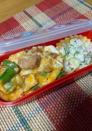 焼き鳥どんぶり〜♡レンチンの親子丼-レシピのメイン写真