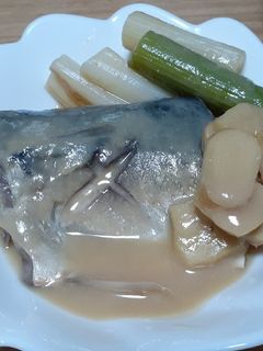 鯖の味噌煮-レシピのメイン写真