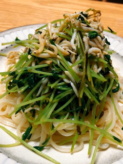 豆苗としらすの簡単稲庭うどん-レシピのメイン写真