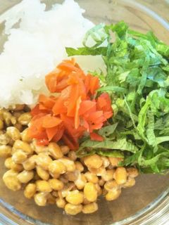 食べ方アレンジ!納豆おろしポン酢あえ-レシピのメイン写真
