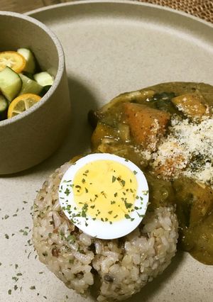 捨てないで!緑茶の出がらしで華麗にカレー-レシピのメイン写真