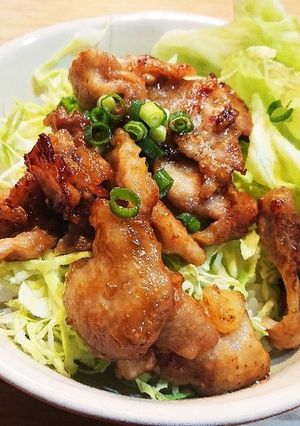 照り焼き風 豚丼-レシピのメイン写真