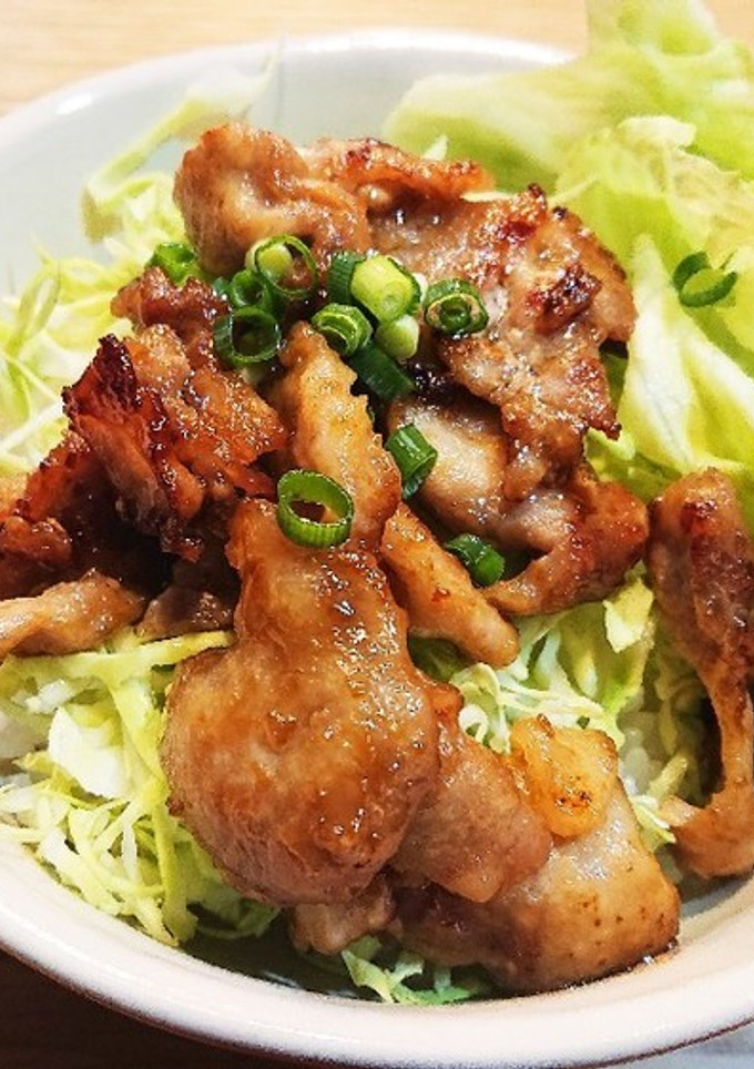 照り焼き風 豚丼-レシピのメイン写真