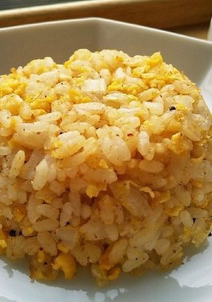 犬ご飯 白菜チャーハン-レシピのメイン写真
