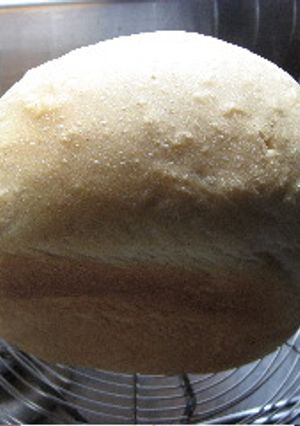 ホシノ酵母でいつもの食パン（HB使用）-レシピのメイン写真