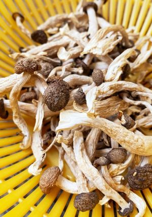 基本の干しキノコ♪どんなお料理にも♪-レシピのメイン写真