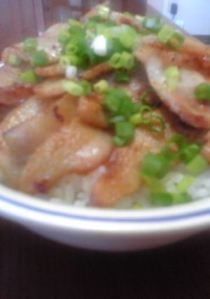 スパイシー2色豚丼-レシピのメイン写真