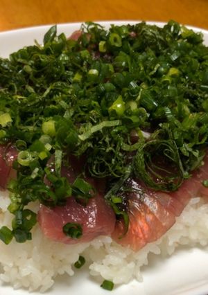 のせるだけの簡単！美味しい！カツオ丼-レシピのメイン写真
