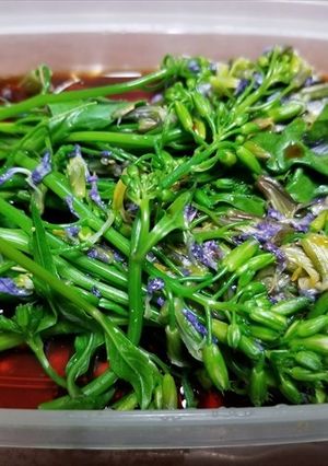 ハマダイコンの花のダシつゆ漬け-レシピのメイン写真