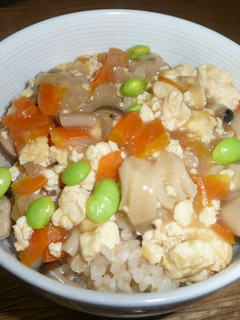 野菜たっぷり豆腐丼-レシピのメイン写真