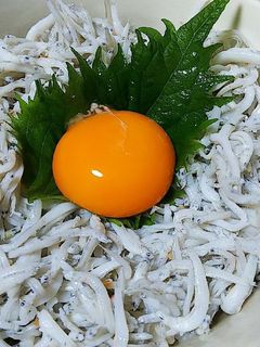 釜揚げしらす丼-レシピのメイン写真