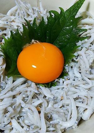 釜揚げしらす丼-レシピのメイン写真