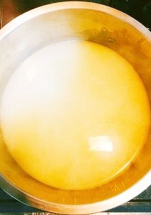 プロもうなる！白湯スープ-レシピのメイン写真