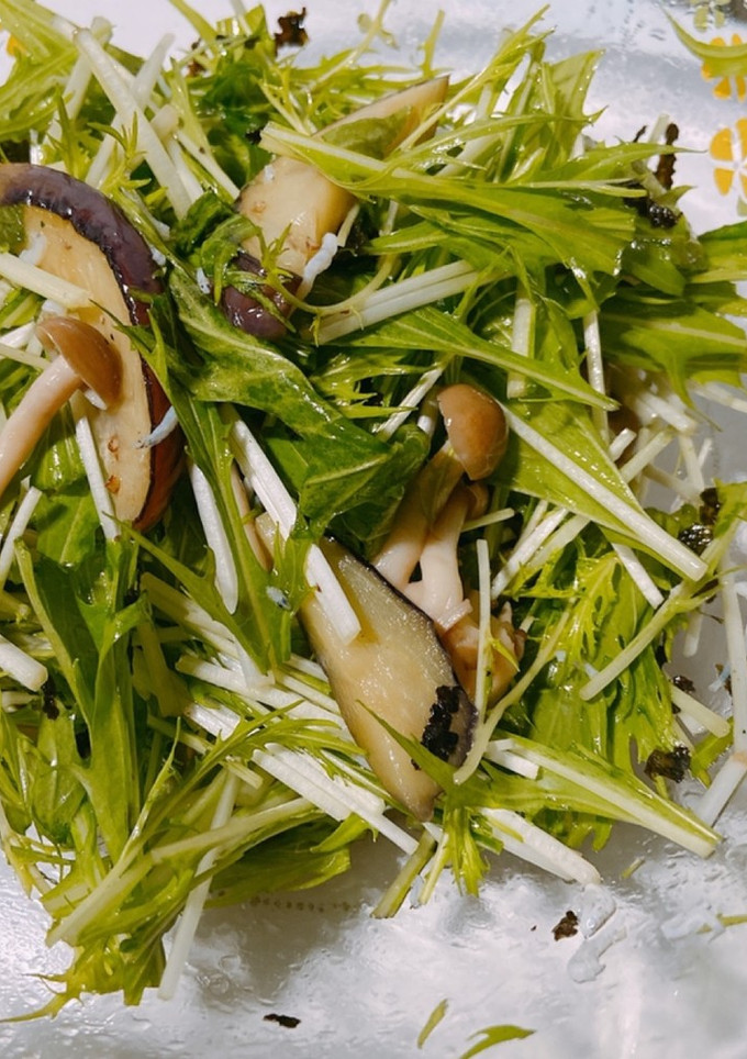 シラスとナスと水菜の和風サラダ-レシピのメイン写真
