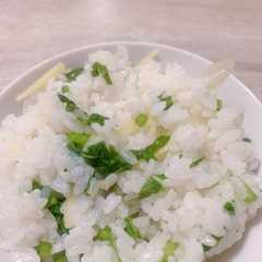 รูปของ かぶの葉の生姜ご飯