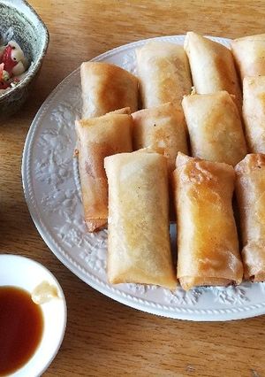 お昼ごはん！ 焼売の具+チーズ 春巻-レシピのメイン写真