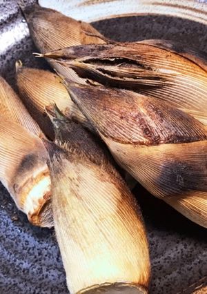 簡単♡つまみ♡魚焼きグリルで♡焼き筍-レシピのメイン写真