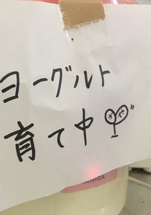 インドの手作りダヒヨーグルトを育てよう-レシピのメイン写真