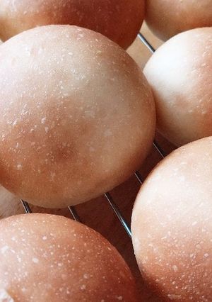 ハンバーガーのバンズ-レシピのメイン写真