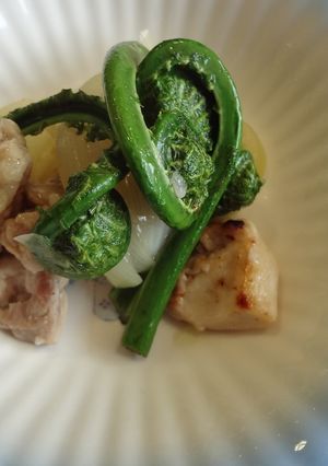 こごめと鶏肉の炒め物-レシピのメイン写真
