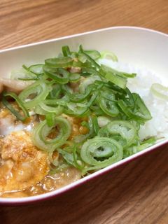 天丼ならぬ揚げ玉丼-レシピのメイン写真