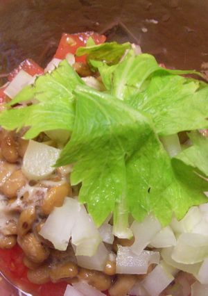 トマト&セロリ納豆-レシピのメイン写真