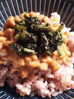 節約☆大根の葉っぱと黒ごまのふりかけ-レシピのメイン写真