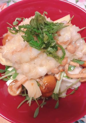 キノコと豆腐のヘルシーサラダ-レシピのメイン写真
